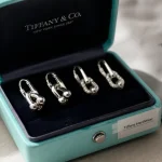 Boucles d oreilles Tiffany en argent dans l écrin bleu